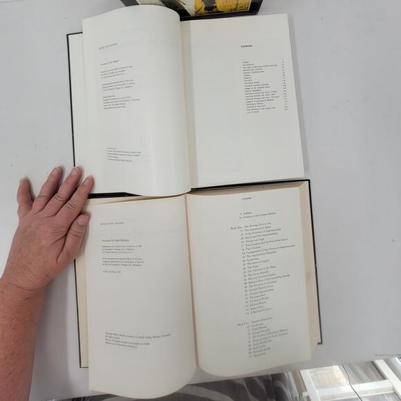 Painting in the Twentieth Century Warner Hoffmen 1966 two books set Hardcover - Picture 7 of 12